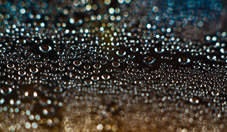 20110204-DSC_1291
