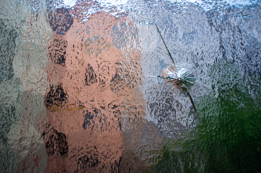 bigbasspic_de-20130910-2194