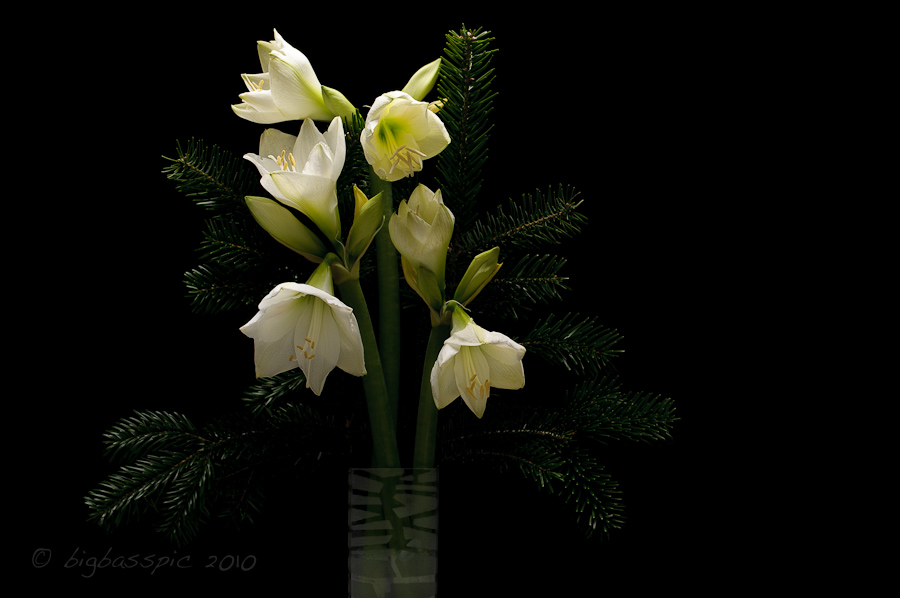 20101130-DSC_6066