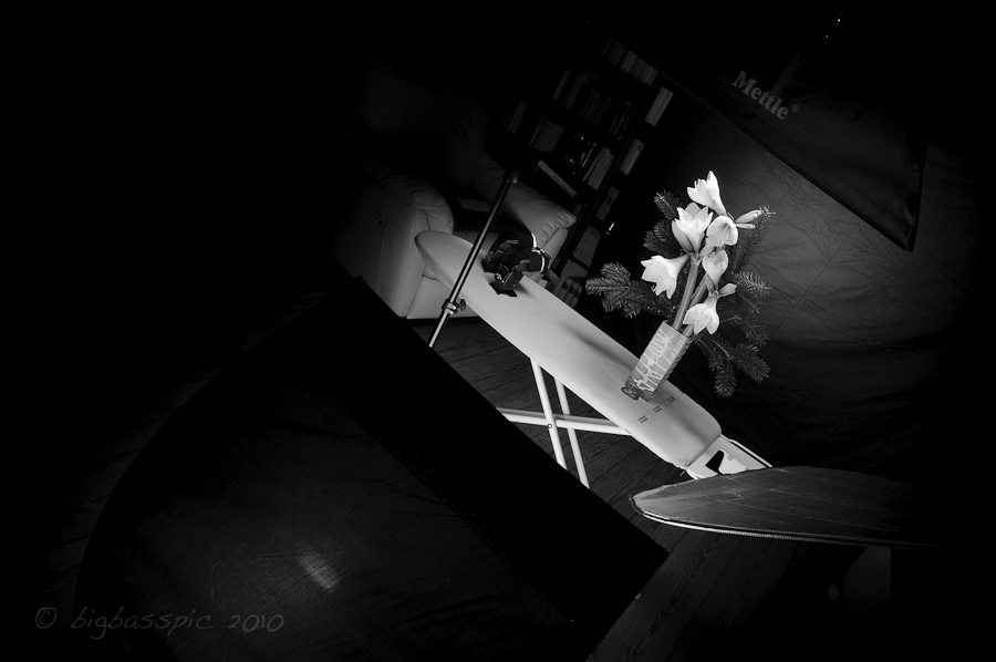 20101130-DSC_6118