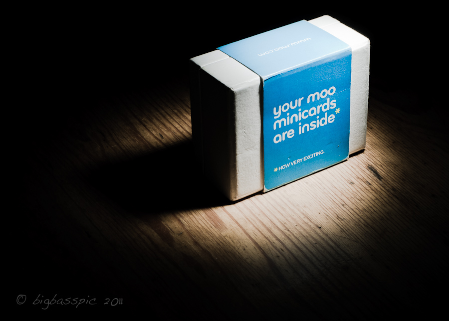 20110126-DSC_0931