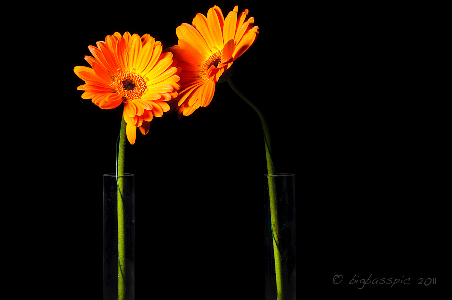 20110131-DSC_1140