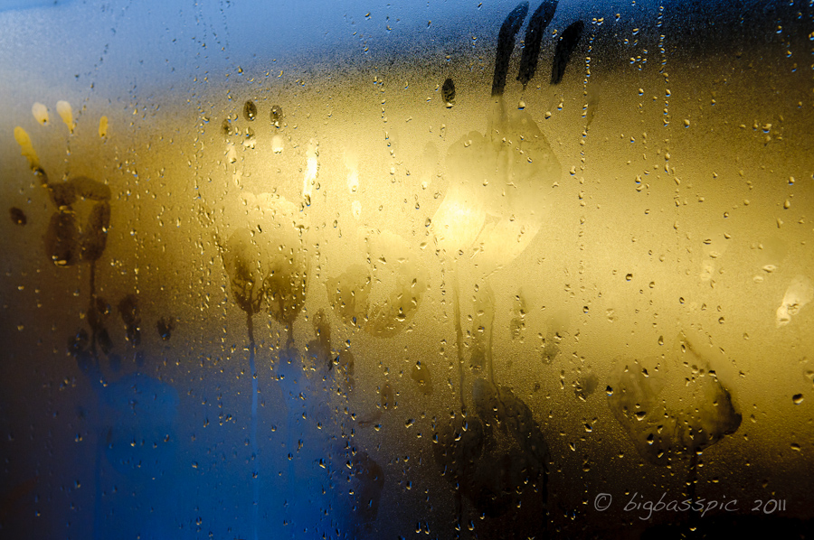 20110206-DSC_1331