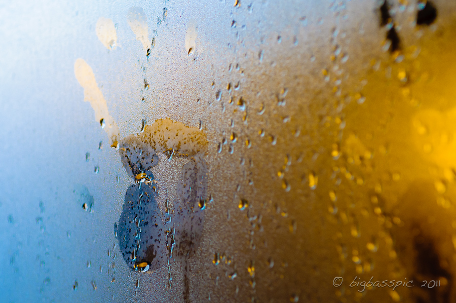 20110206-DSC_1335