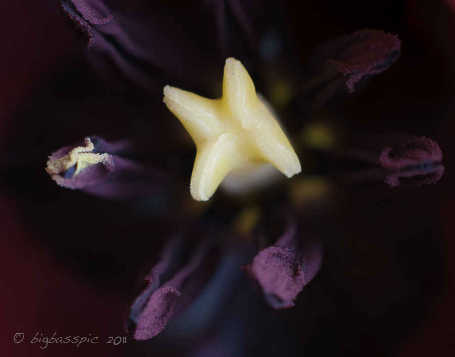 20110211-DSC_1396