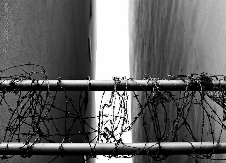 20110212-DSC_1561