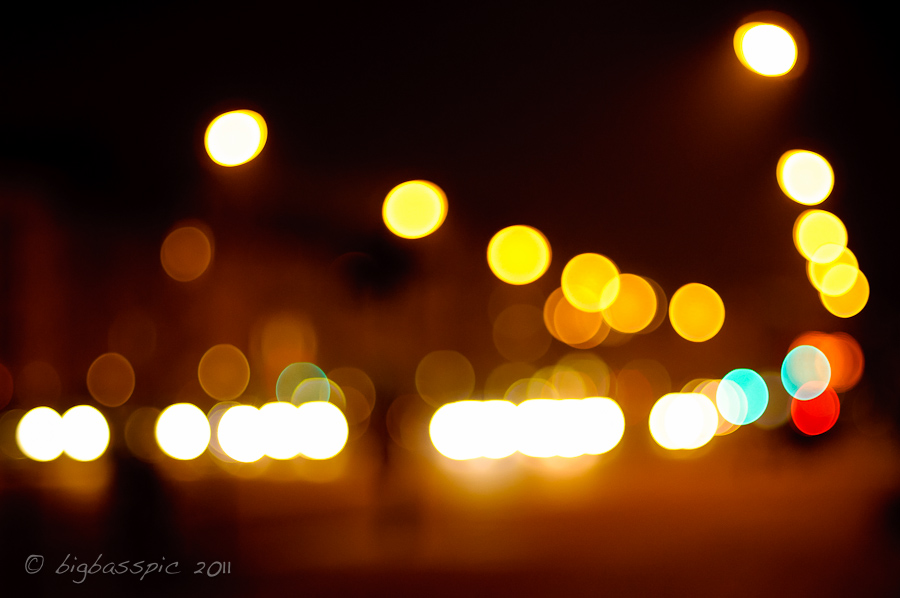 20110301-DSC_2521
