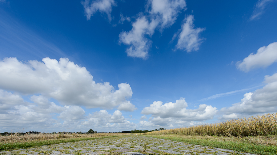 20120721-BD4_4632