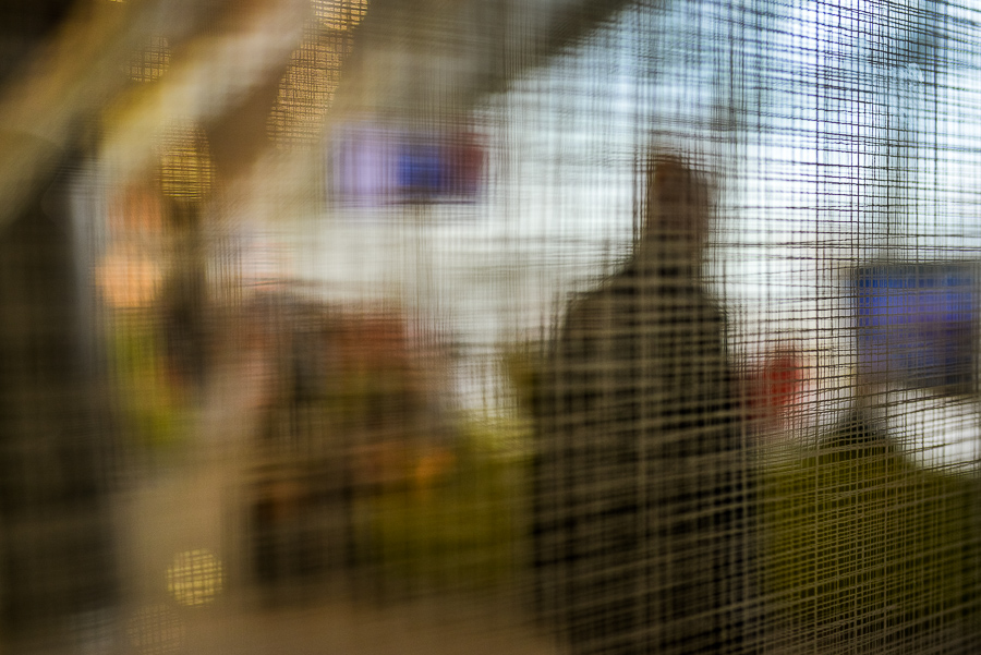 20161108-bd8_6944